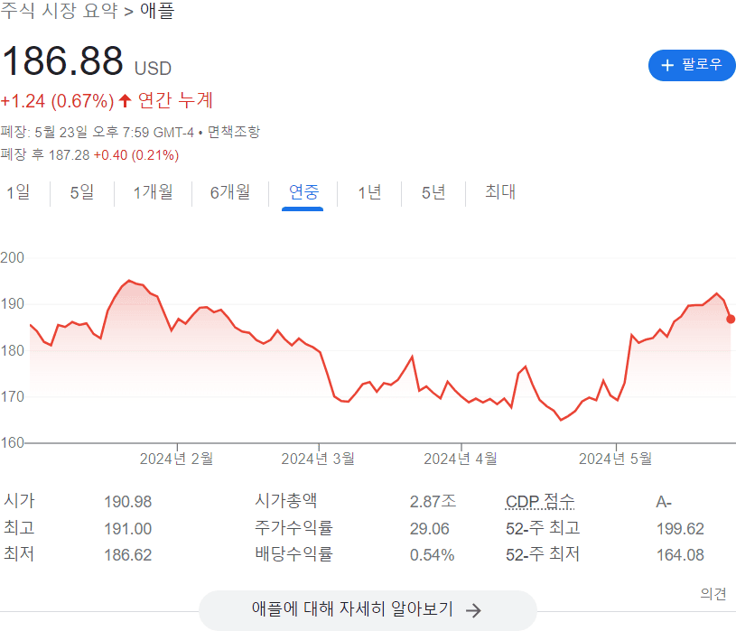 애플 연중 주가 그래프